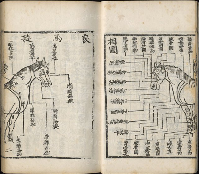 《說文解字》與《新編集成馬醫方牛醫方》—古文字學和獸醫學跨領域的相遇